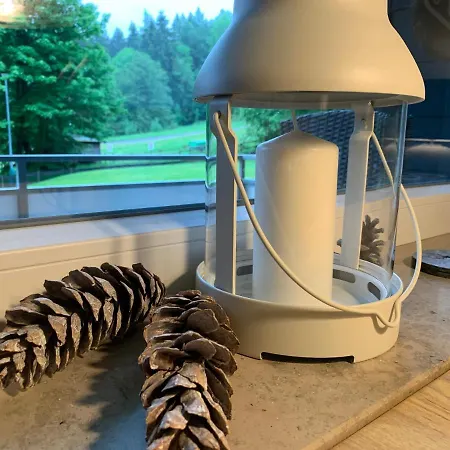 Ferienapartment Hahnenklee Apart.3 아파트 *