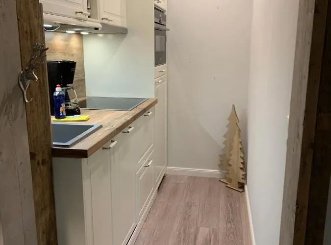 公寓 Ferienapartment Hahnenklee Apart.3 *