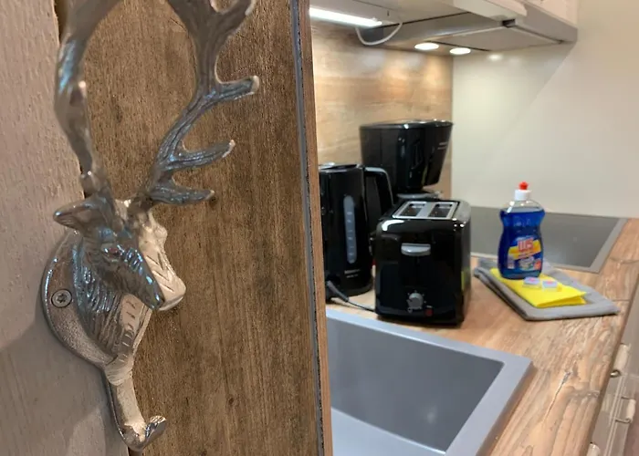 Ferienapartment Hahnenklee Apart.3 公寓
