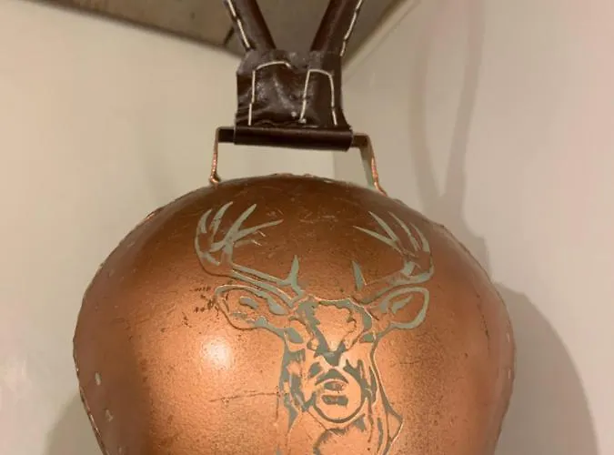 Ferienapartment Hahnenklee Apart.3 公寓 戈斯拉尔