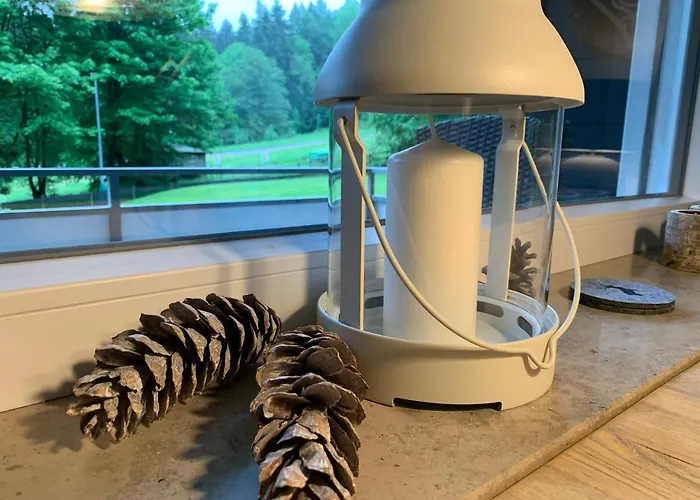 Ferienapartment Hahnenklee Apart.3 公寓 *