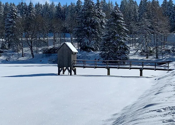 Ferienapartment Hahnenklee Apart.3