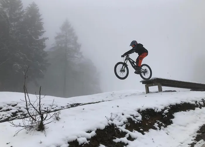 公寓 Ferienapartment Hahnenklee Apart.3 戈斯拉尔