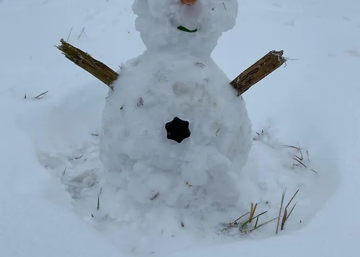 Ferienapartment Hahnenklee Apart.3 公寓 戈斯拉尔