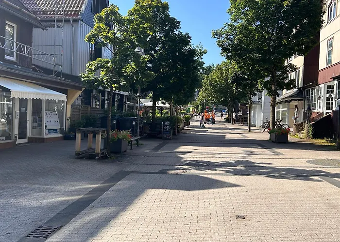 Ferienapartment Hahnenklee Apart.3 公寓 戈斯拉尔
