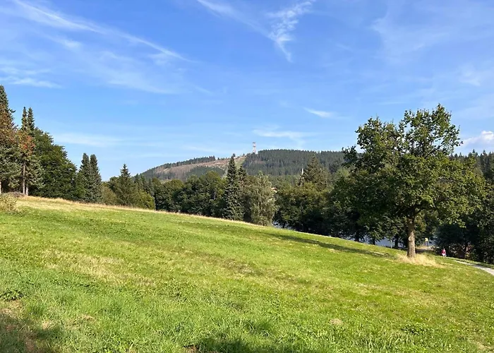 公寓 Ferienapartment Hahnenklee Apart.3