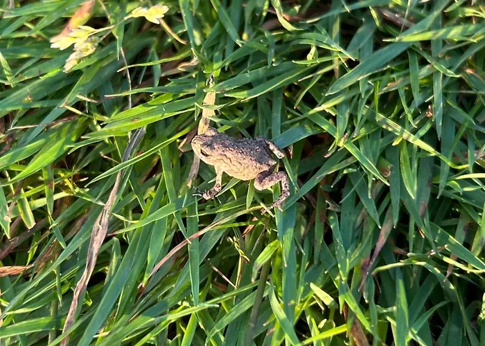 公寓 Ferienapartment Hahnenklee Apart.3 戈斯拉尔